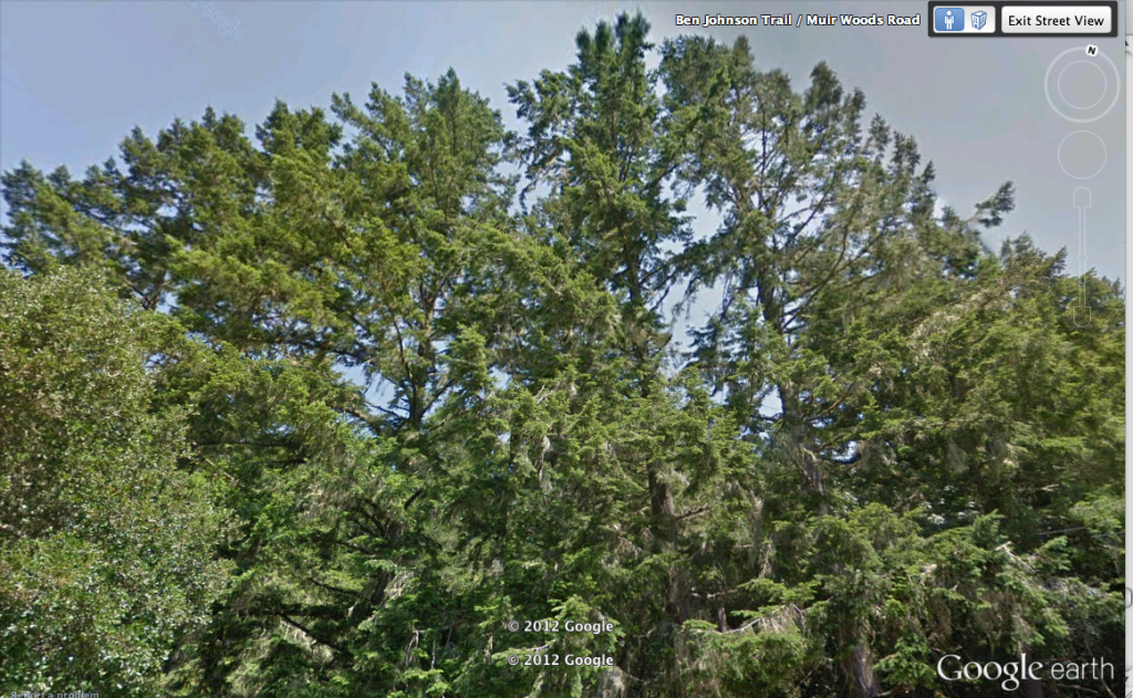 Image Provided through Google Earth's Street View