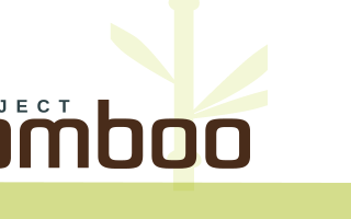 Project Bamboo